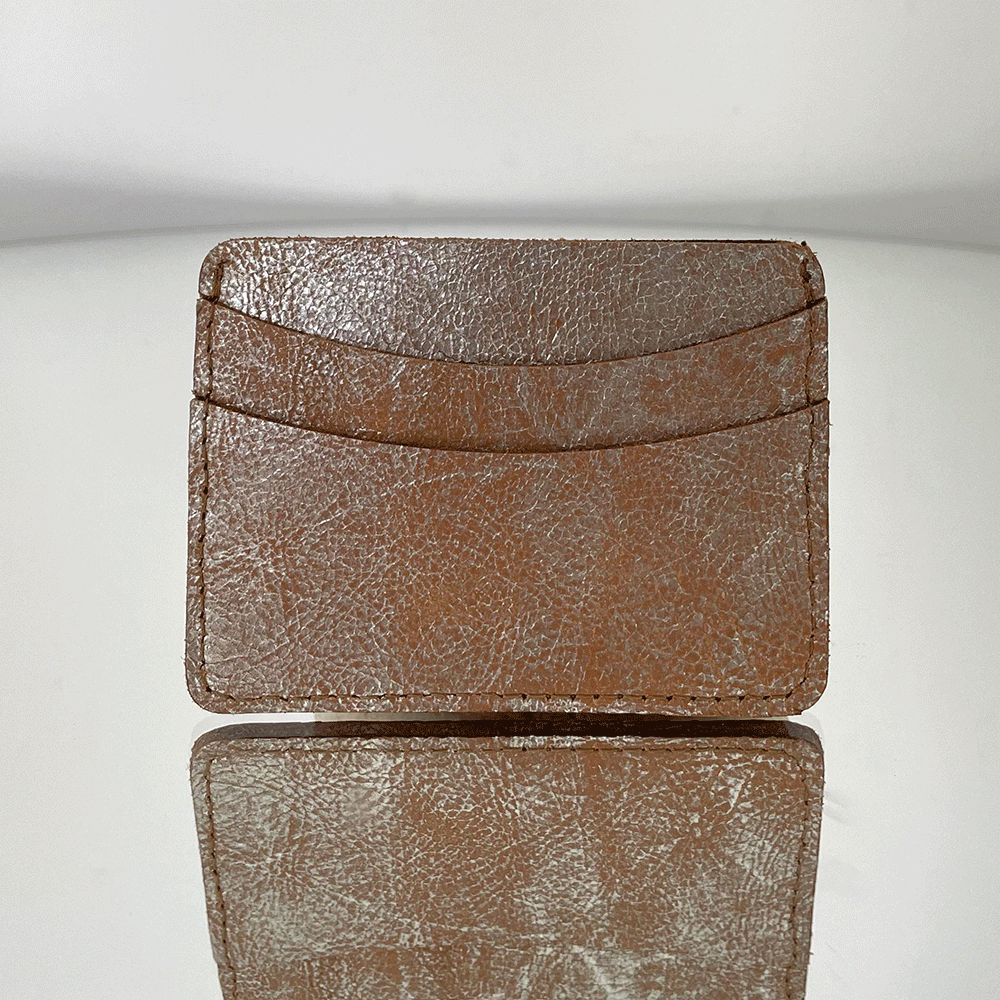 Portadocumentos Mujer Plateado 251205-3